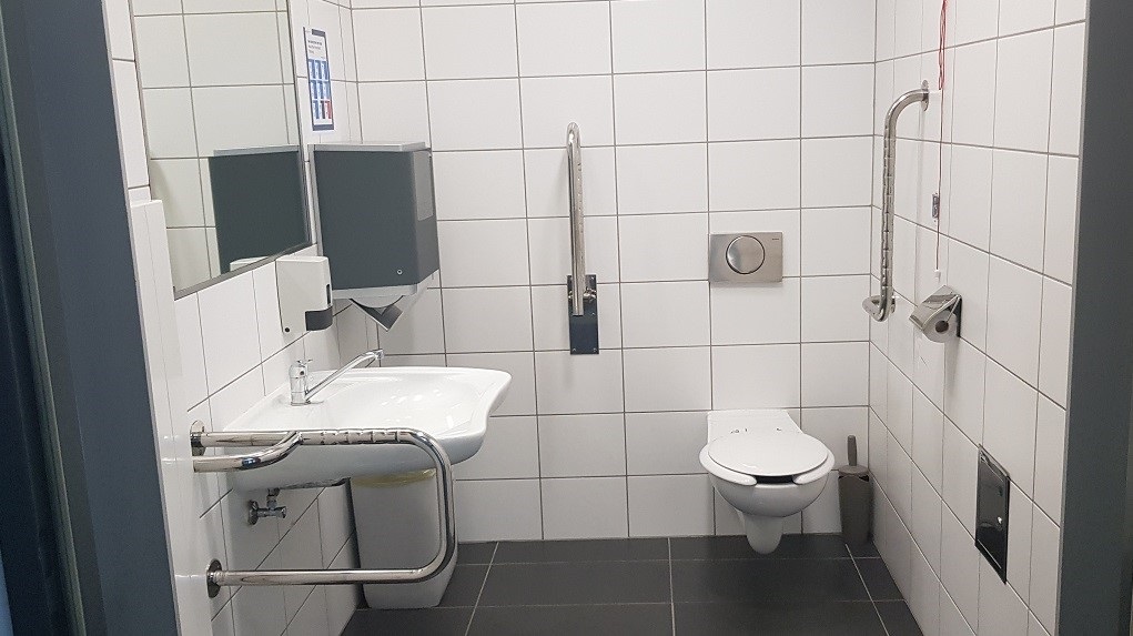 Sosnowiec, ul. Grota-Roweckiego 5 – toaleta/toilet